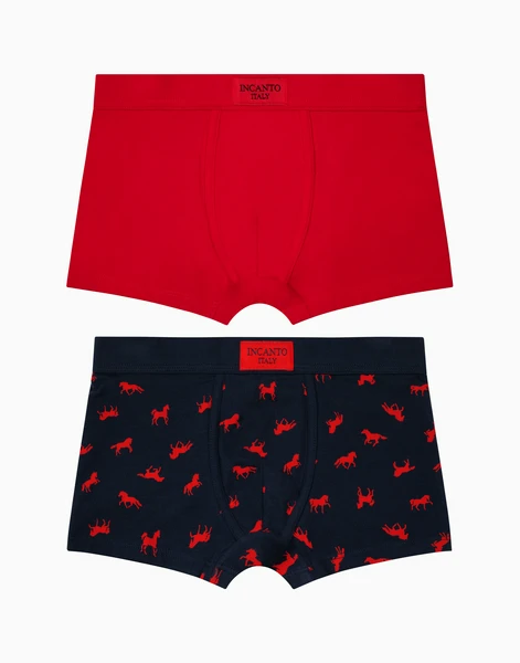 Набор из 2-х боксеров Incanto для мальчика 1093, мультиколор, арт. 32697