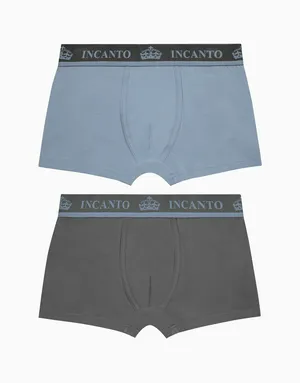 Набор из 2-х боксеров Incanto для мальчика, разноцветный, арт. 4670393584669