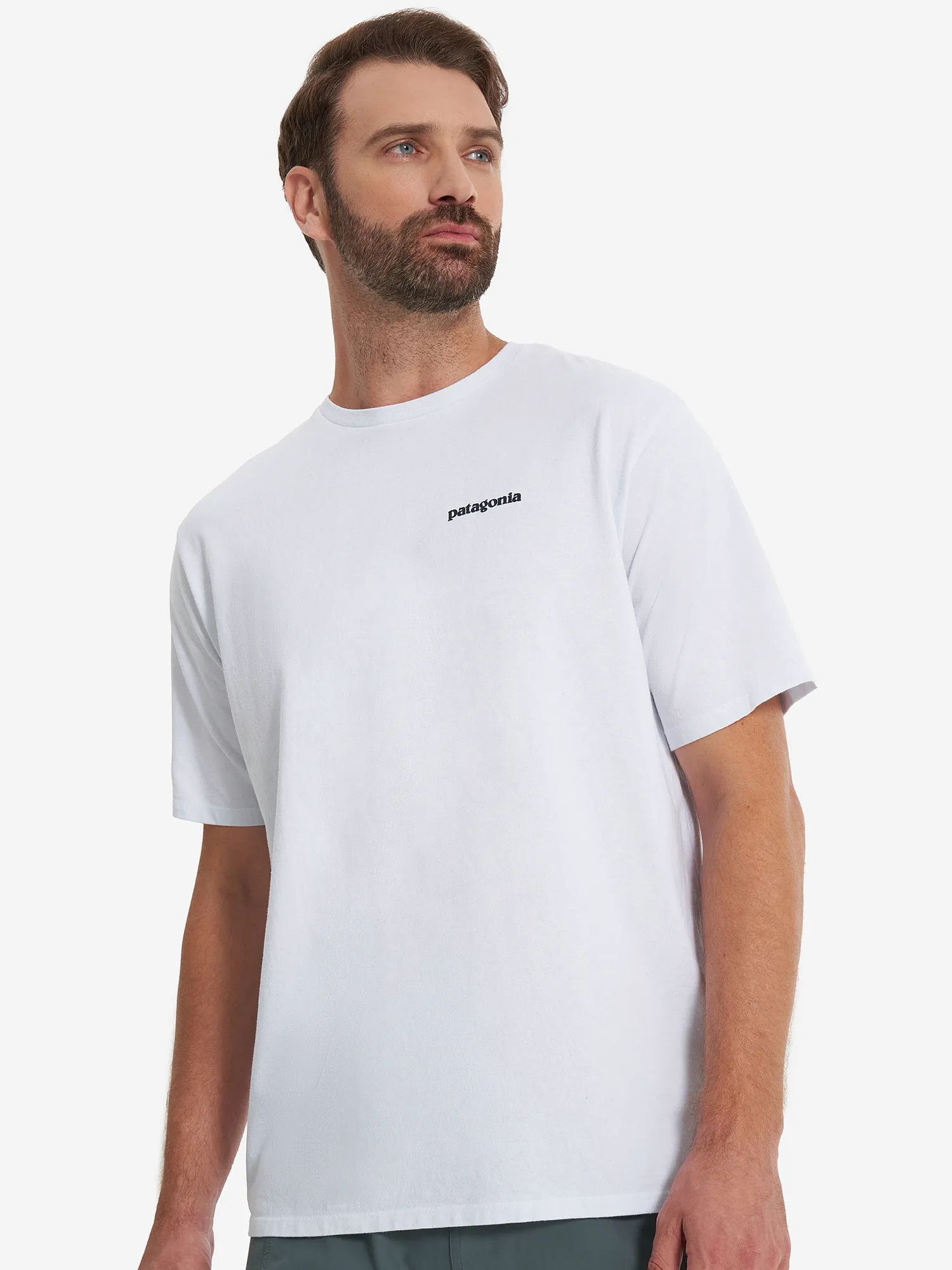 Футболка мужская Patagonia Logo, белый, арт. 38504p3a-whi