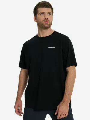 Футболка мужская Patagonia Logo, черный, арт. 38504P3A-BLK