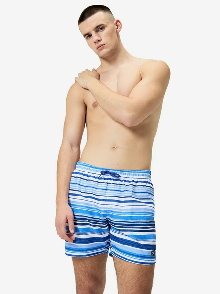 Мужские плавательные шорты Speedo, синий, арт. 8-1283717288s0y-17288