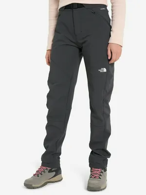 Брюки The North Face Diablo Reg, серый, арт. NF0A7Z894EN1T1K