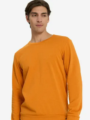 Свитшот мужской Termit, оранжевый, арт. 131562TRT-D2