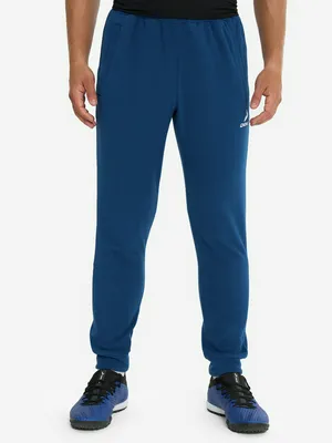 Брюки мужские Demix, синий, арт. 17914