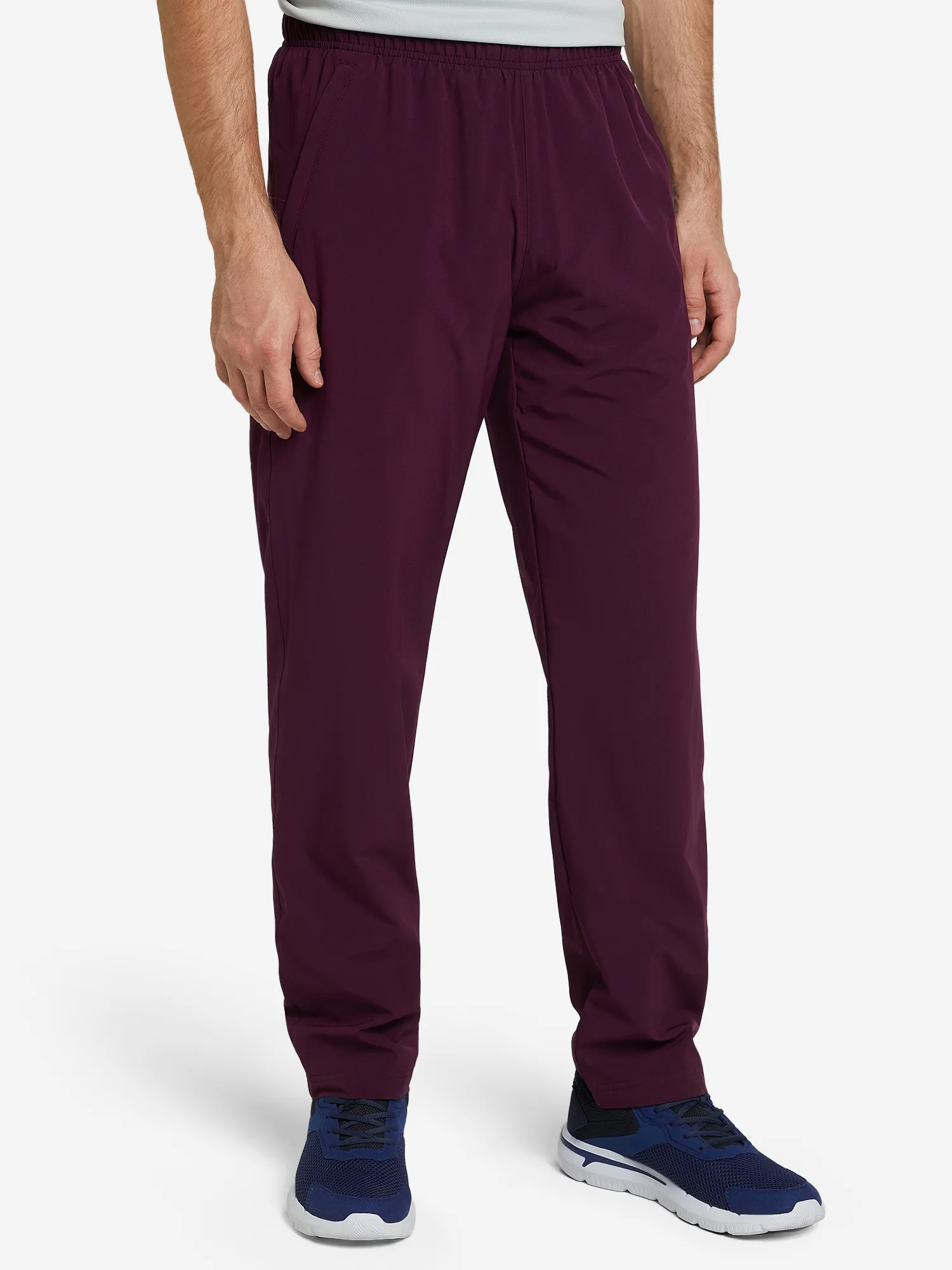 Брюки мужские Demix, фиолетовый, арт. 122731dmx-x4