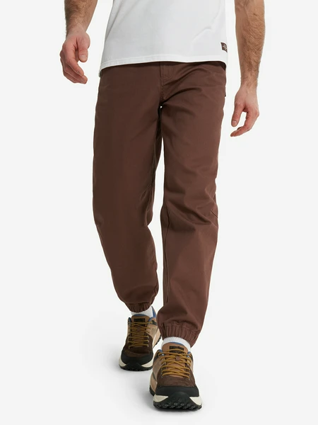 Брюки мужские Cordillero, коричневый, арт. 133800c37-t3
