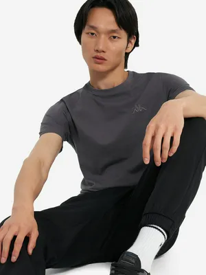 Футболка мужская Kappa, серый, арт. 125937kap-a1