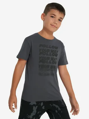 Футболка для мальчиков, серый, арт. 137716DMX-93