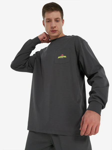 Лонгслив мужской оверсайз The North Face Expedition Celebration, серый, арт. 18940