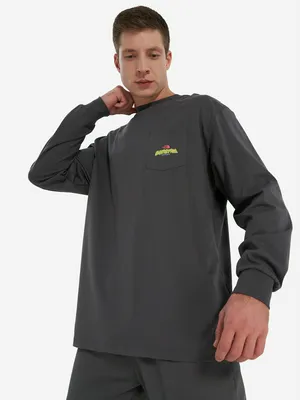 Лонгслив мужской оверсайз The North Face Expedition Celebration, серый, арт. 18940