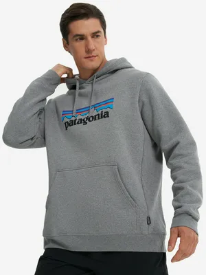 Худи Patagonia Logo Uprisal, серый, арт. 39622P3A-GLH