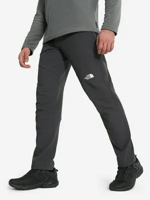 Брюки мужские The North Face Diablo Reg, серый, арт. NF0A7X6D4EN1T1K