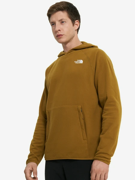 Худи The North Face 100 Glacier, зеленый, арт. nf0a855z1ob1t1k-.