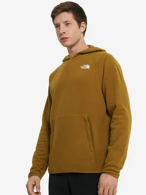 Худи The North Face 100 Glacier, зеленый, арт. nf0a855z1ob1