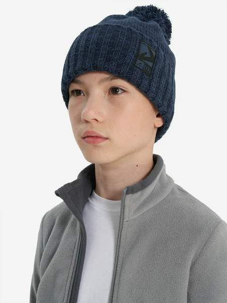 Шапка для мальчиков Demix, синий, арт. 137950dmx-5m