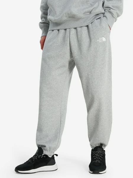 Брюки мужские The North Face Essential, серый, арт. 19986