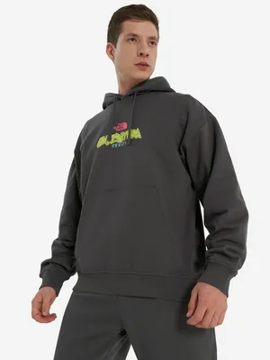 Худи The North Face Expedition Celebration, серый, арт. nf0a8e3frhi1