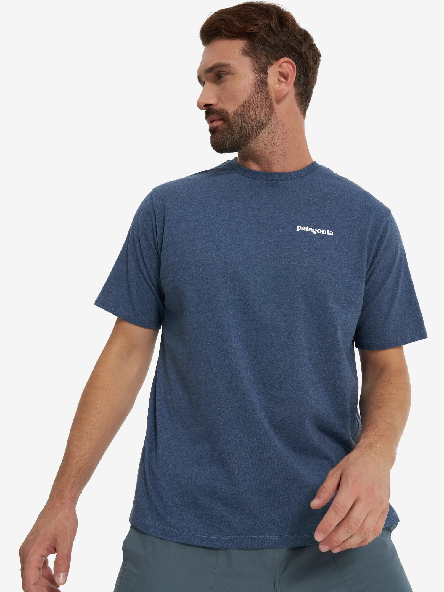 Футболка мужская Patagonia Logo, синий, арт. 38504p3a-utb