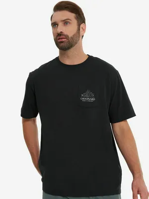 Футболка Patagonia Chouinard Crest, черный, арт. 37770P3A-INBK