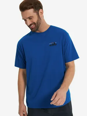 Футболка Patagonia Skyline Organic, синий, арт. 37534P3A-ENLB