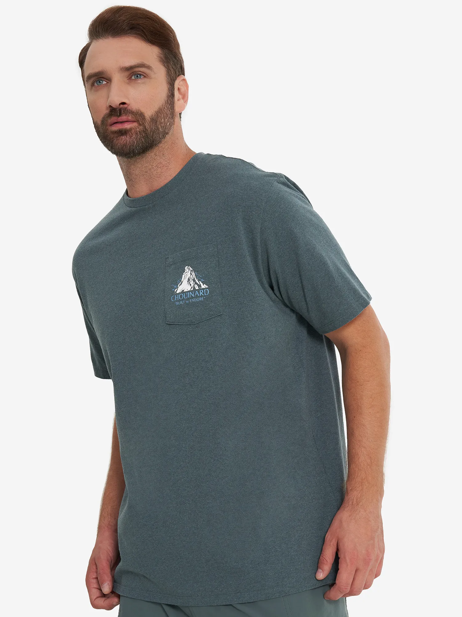 Футболка Patagonia Chouinard Crest, зеленый, арт. 37770p3a-nuvg