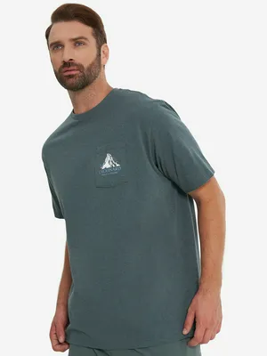 Футболка Patagonia Chouinard Crest, зеленый, арт. 37770P3A-NUVG