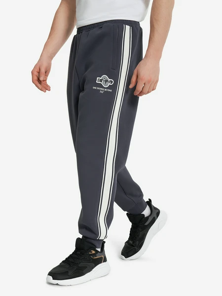 Брюки мужские 361°, серый, арт. w552519052b361-3w