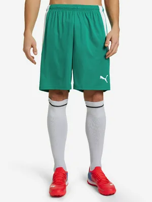 Шорты мужские PUMA teamLIGA, зеленый, арт. 704924P0P-05