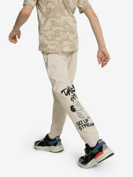 Брюки для мальчиков Demix, бежевый, арт. 21600