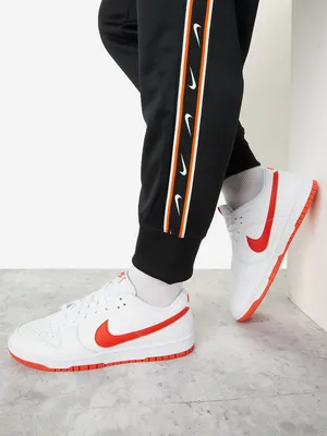 Кеды Nike Dunk Low Retro, белый, арт. dv0831