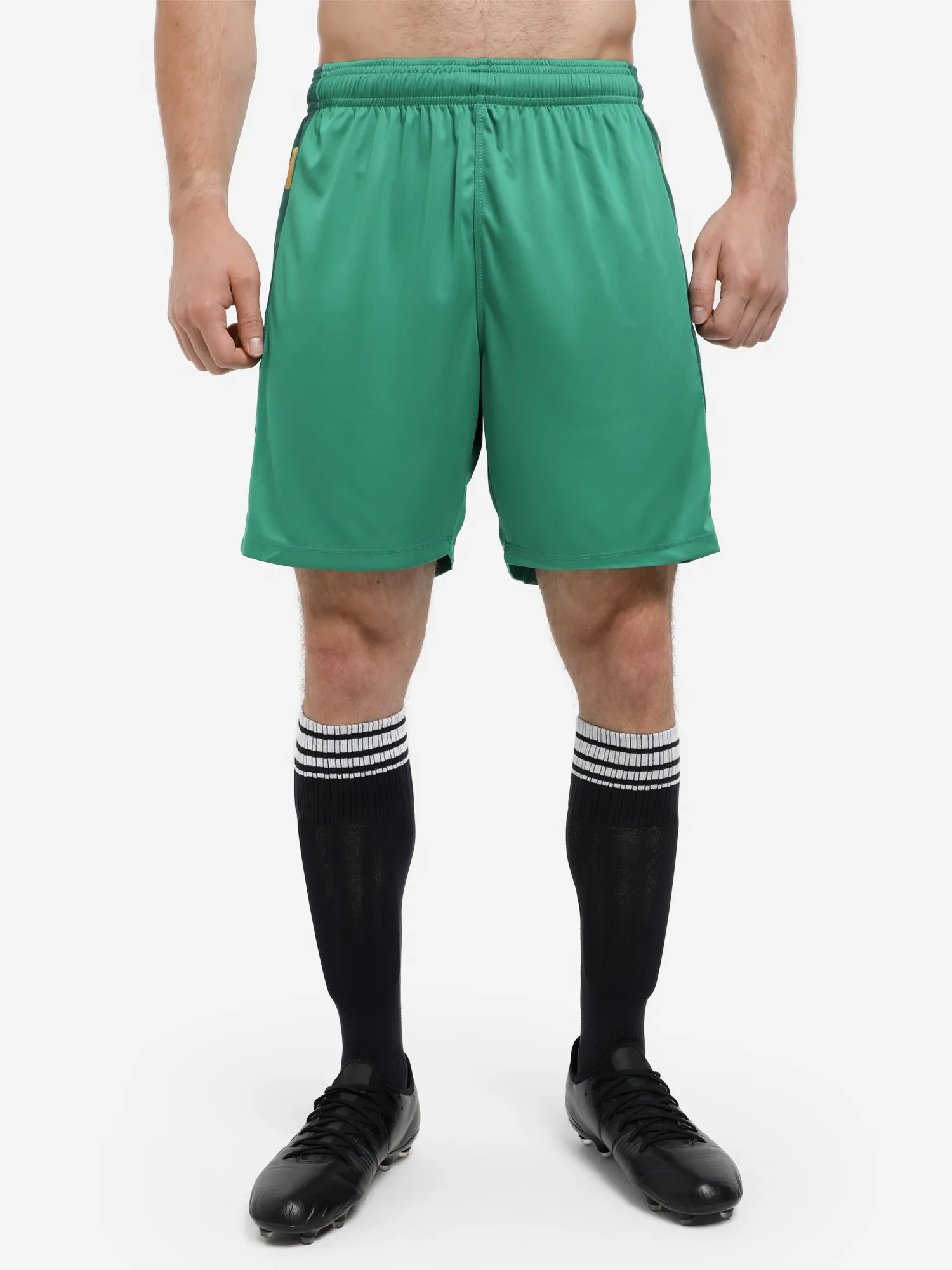 Шорты мужские Kappa, зеленый, арт. 351f5xwkap-a03