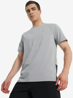 Футболка мужская Demix, серый, арт. 136120DMX-AB