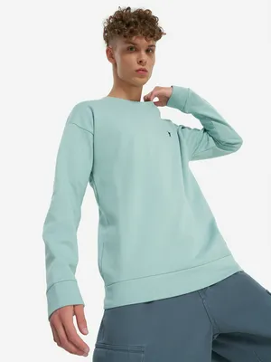 Свитшот мужской Termit, голубой, арт. 138558TRT-N1