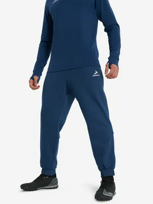 Брюки мужские Demix, синий, арт. 136283DMX-Z3