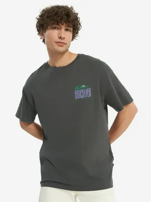Футболка мужская оверсайз Quiksilver World Force, серый, арт. EQYZT08020Q02-KRP0