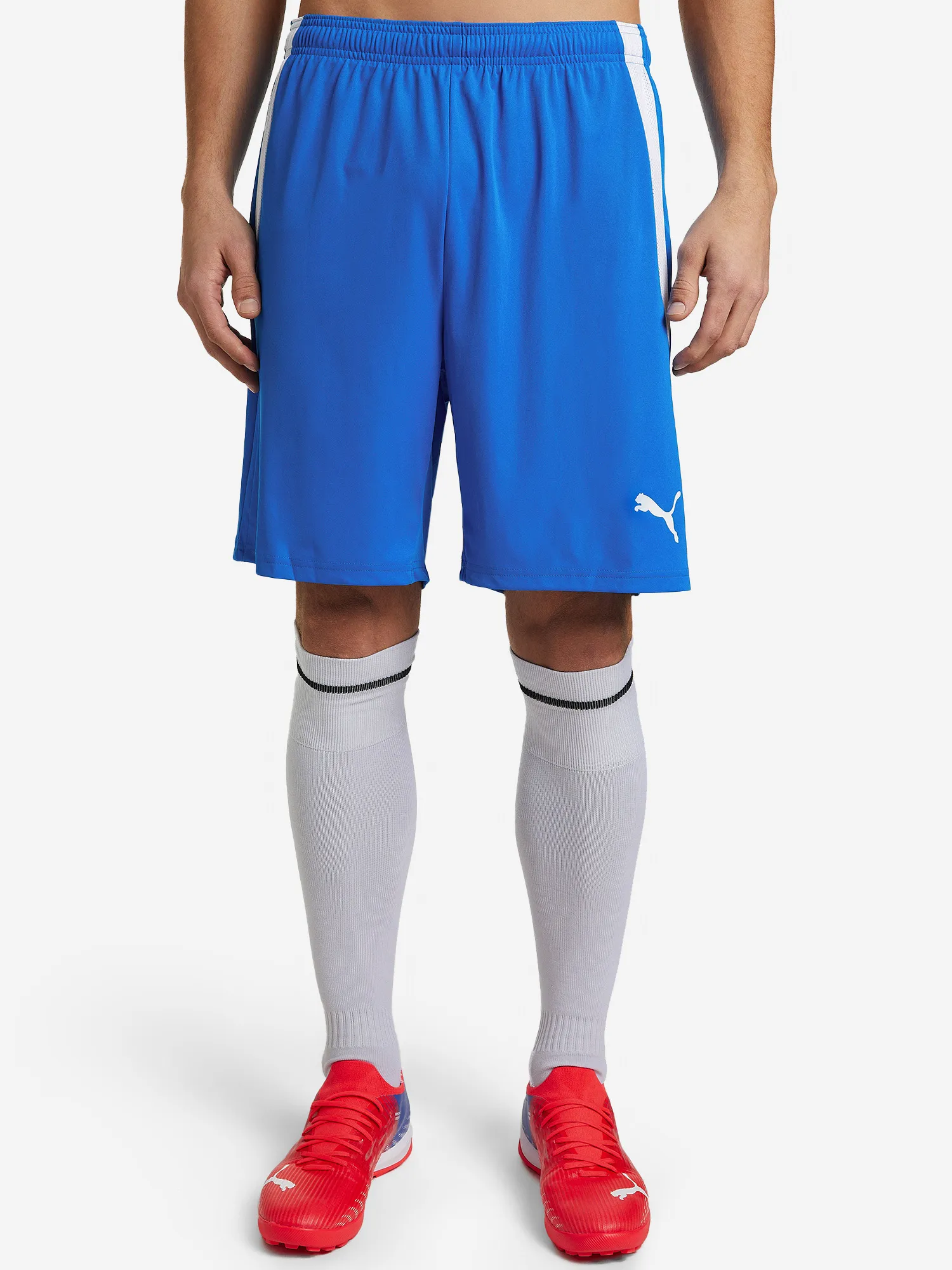 Шорты мужские PUMA teamLIGA, синий, арт. 24041