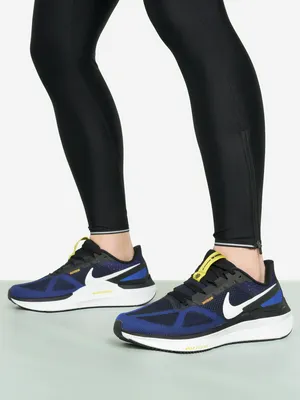 Кроссовки Nike Air Zoom Structure 25, черный, арт. DJ7883N06-003