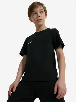 Футболка Demix для мальчиков, черный, арт. 135879DMX-99