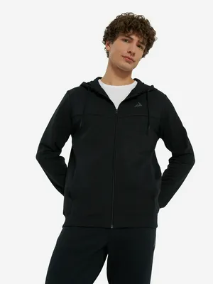 Толстовка мужская Demix, черный, арт. 119610DMX-99