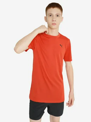 Футболка для мальчиков PUMA Tad Ess, красный, арт. 526533P0P-15
