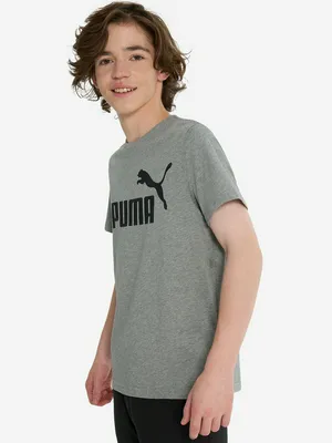 Футболка PUMA ESS Logo, серый, арт. 586960P0P-03