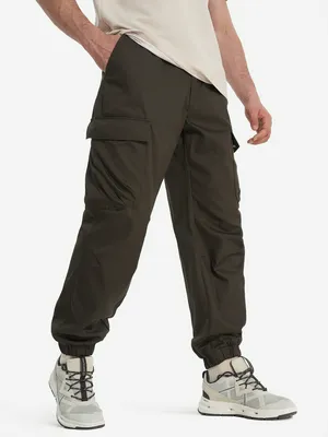 Брюки мужские Northland, коричневый, арт. 138326N16-T4