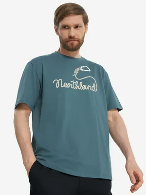 Футболка мужская Northland, зеленый, арт. 138324N16-N4