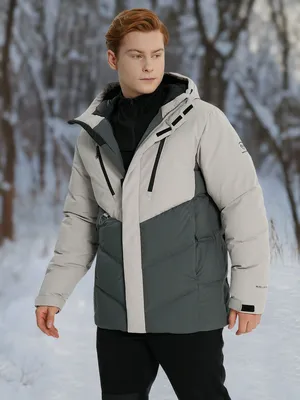 Пуховик мужской Northland, серый, арт. 138300N16-AA