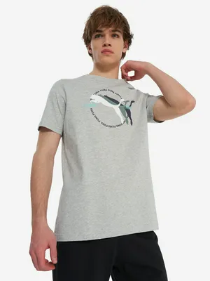 Футболка мужская PUMA, серый, арт. 25397