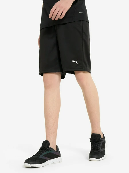 Шорты для мальчиков PUMA Tad, черный, арт. 526538p0p-01