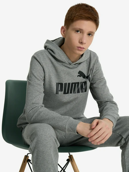 Худи PUMA No. 1 Logo, серый, арт. 684909p0p-03