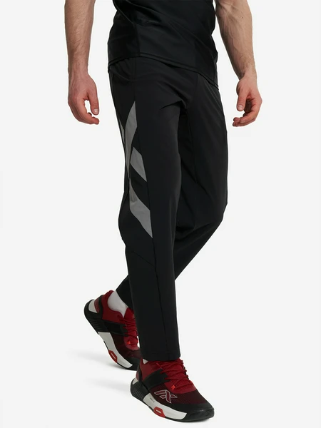 Брюки мужские Athlex, черный, арт. 132724a31-99