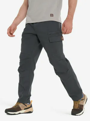 Брюки утепленные мужские Cordillero, серый, арт. 137238C37-92