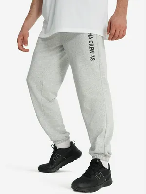 Брюки мужские PUMA Graphic, серый, арт. 527703P0P-04